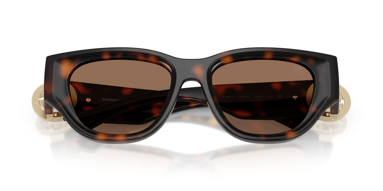 300273 - Brown - Dark Brown