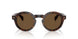 300273 - Tortoise - Solid Brown