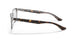 5082 - Brown - Clear