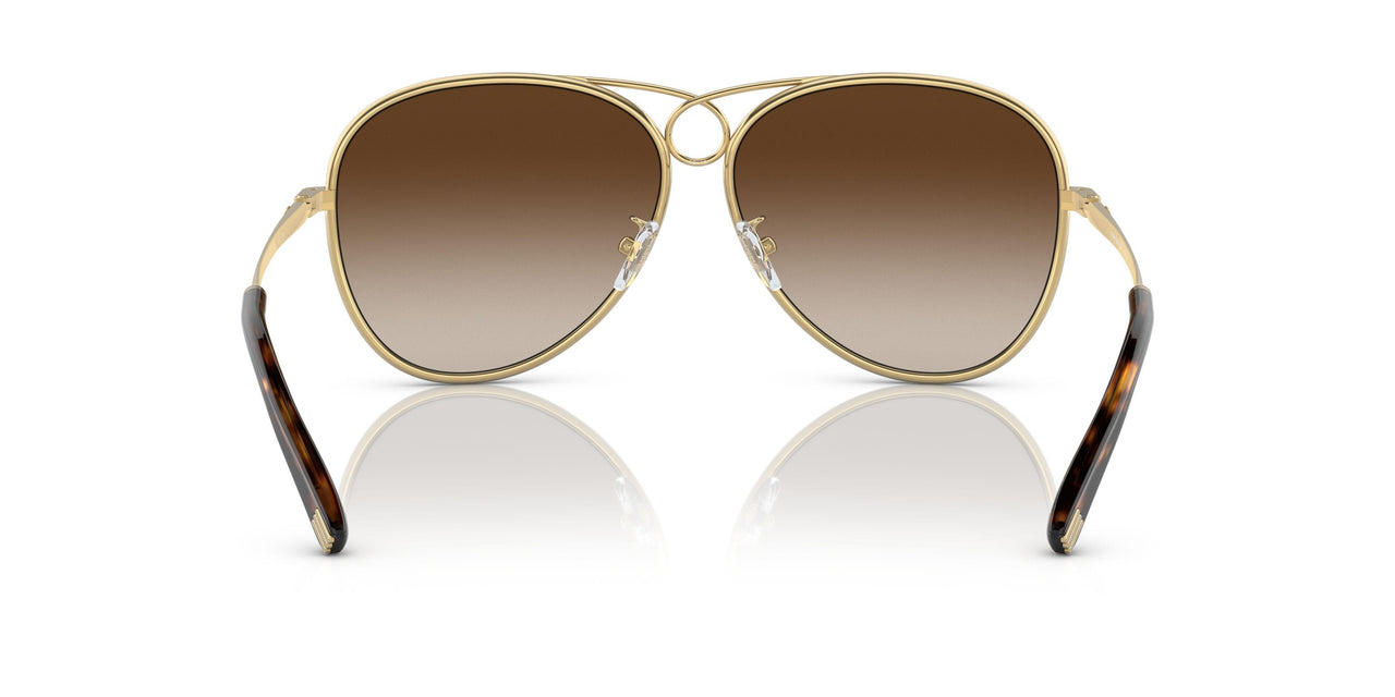 330413 - Gold - Brown Gradient