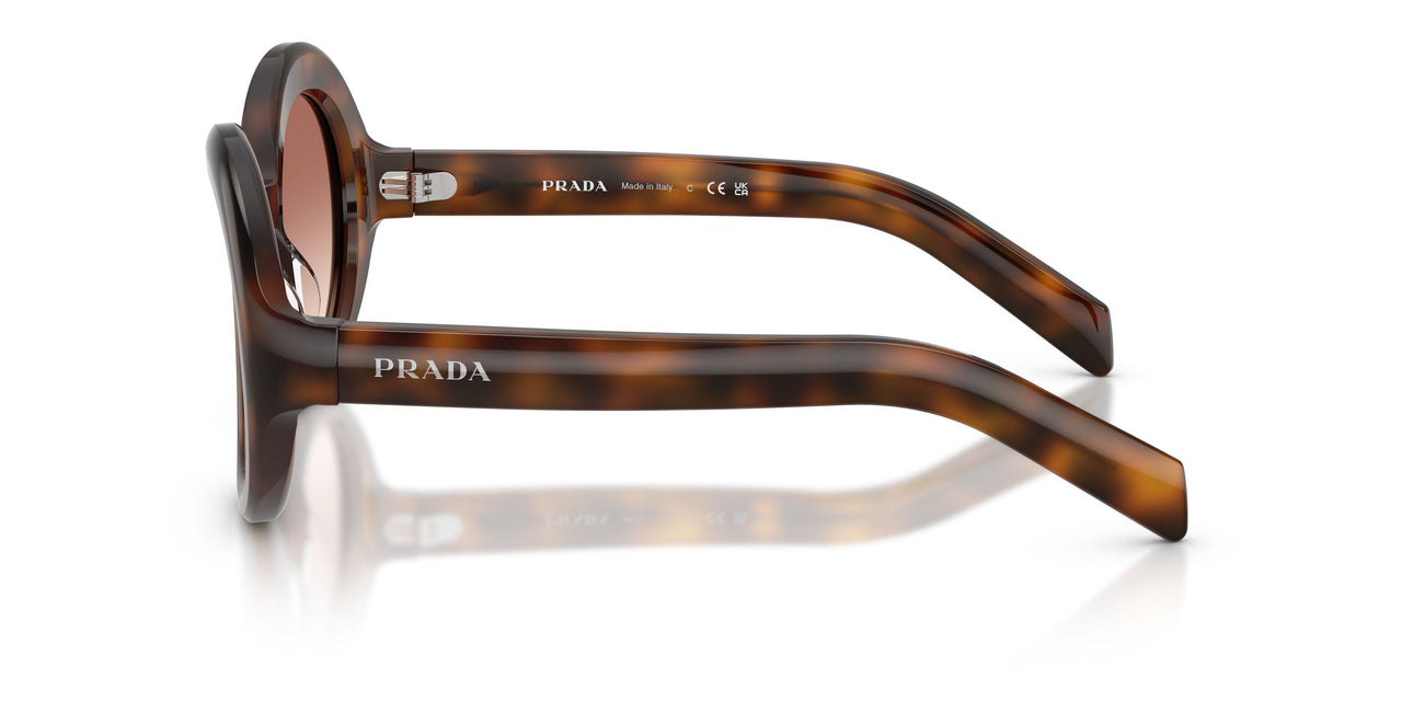 20D70X - Tortoise - Light Brown Gradient Bordeaux