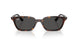 135987 - Tortoise - Dark Grey