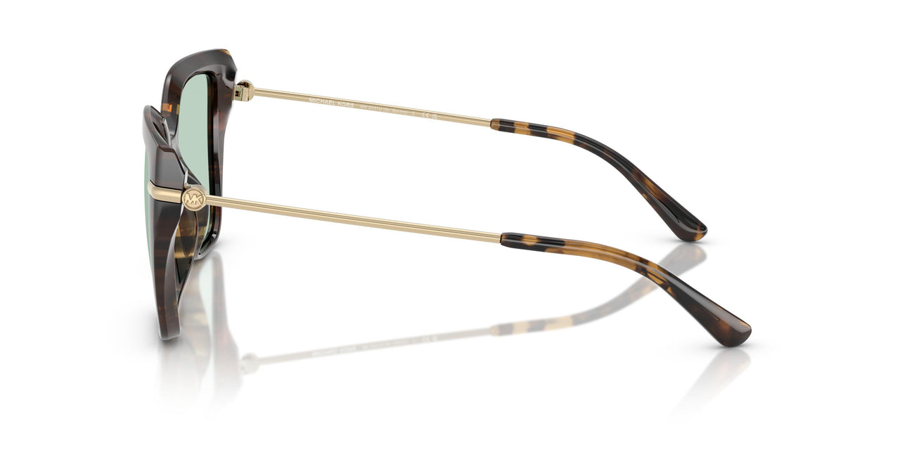 3006M1 - Tortoise - Green Solid Photochromic