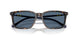 500380 - Tortoise - Dark Blue