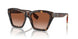 300213 - Brown - Brown Gradient