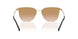 301313 - Gold - Gradient Brown