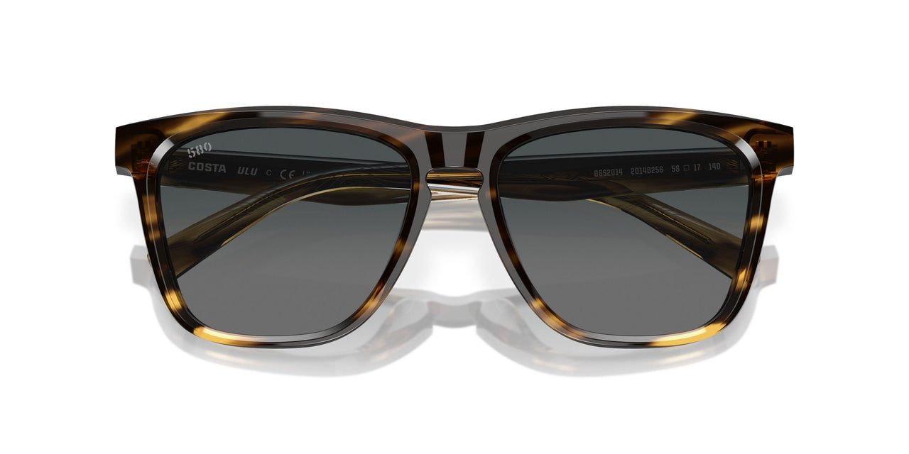 201402 - Tortoise - Gray Gradient