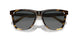201402 - Tortoise - Gray Gradient