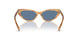 607980 - Brown - Blue