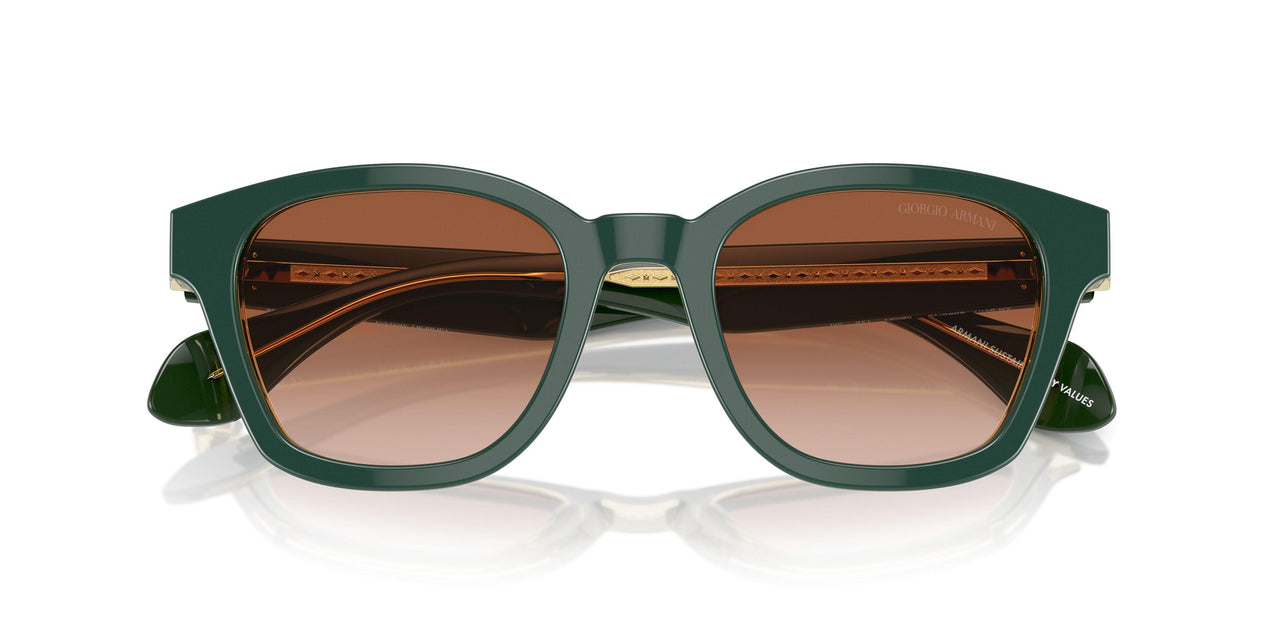 608613 - Green - Gradient Brown