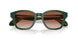 608613 - Green - Gradient Brown