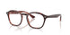 8488 - Tortoise - Clear