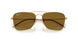 001/83 - Gold - Polar Dark Brown