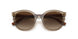 294013 - Light Brown - Brown Gradient