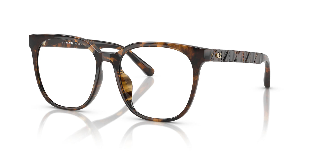 5120 - Tortoise