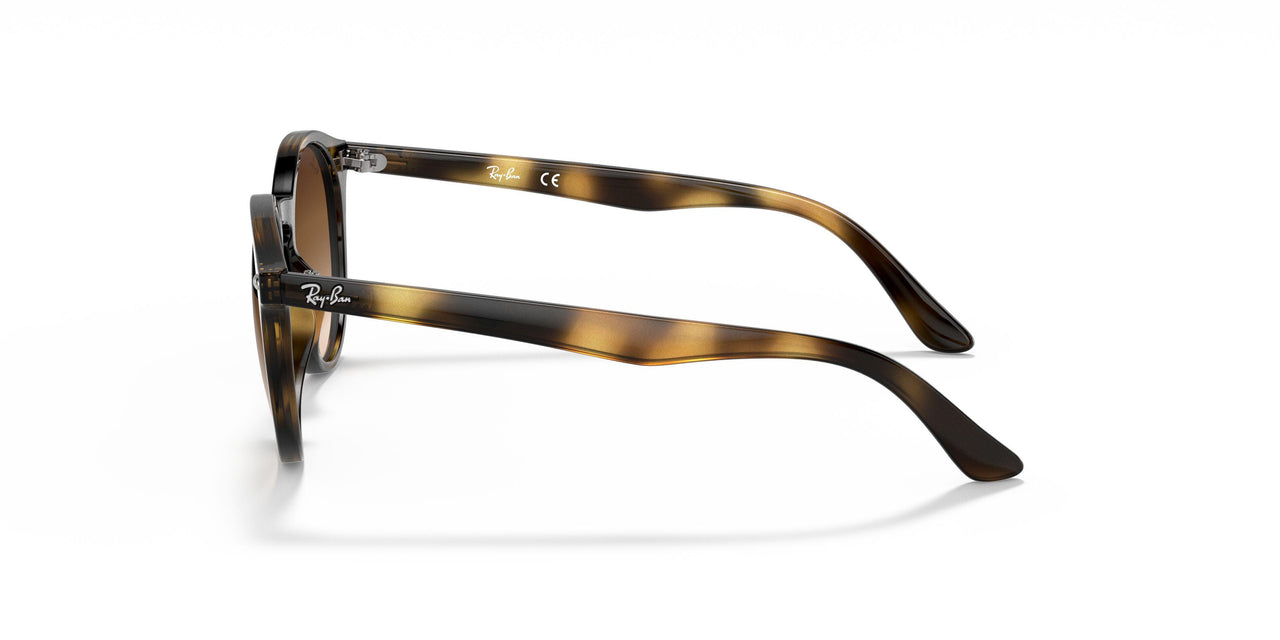 152/13 - Havana - Brown Gradient
