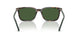 567371 - Tortoise - Bottle Green