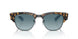 13163M - Tortoise - Blue
