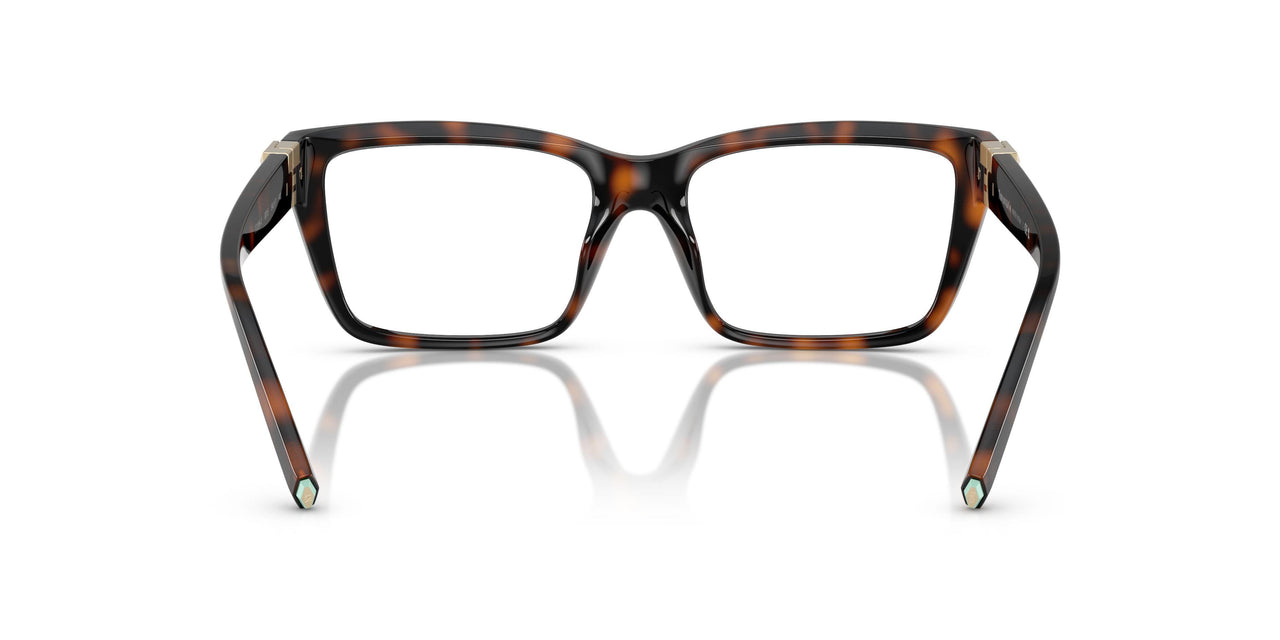 8015 - Tortoise