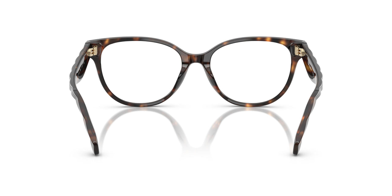 1964 - Tortoise