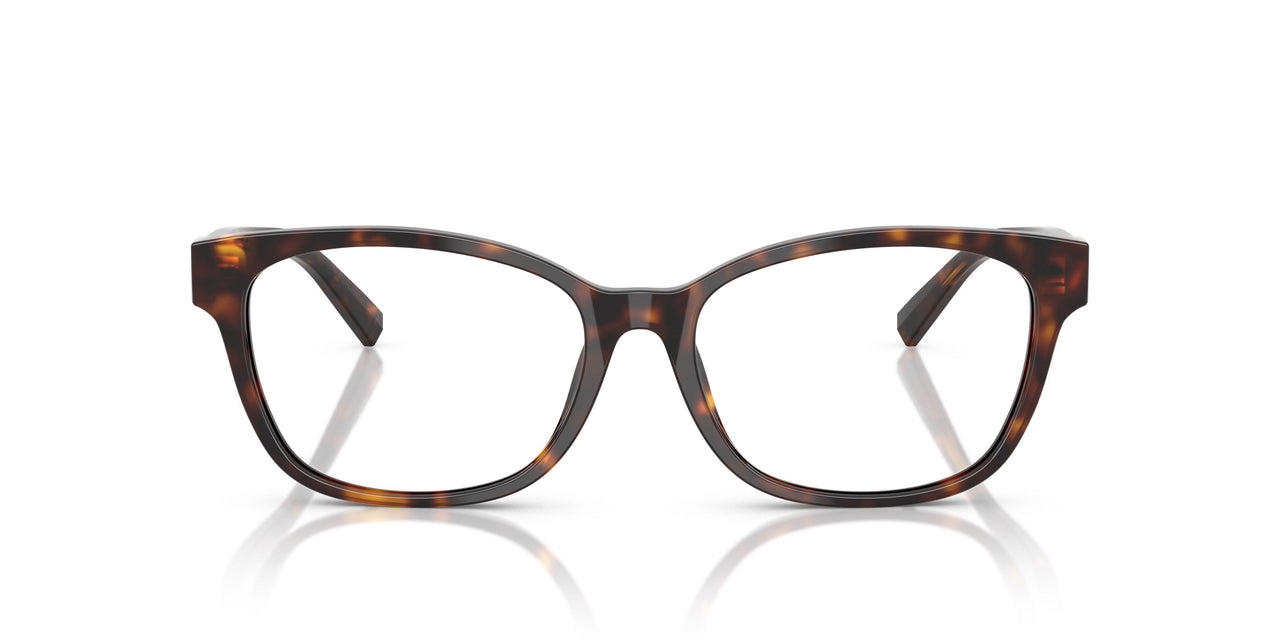 8015 - Tortoise