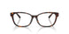 8015 - Tortoise