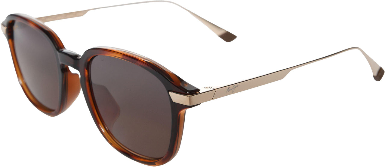 10 - Shiny Dark Havana With Gold - Hcl Bronze