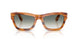 960/3A - Tortoise - Clear Gradient Green