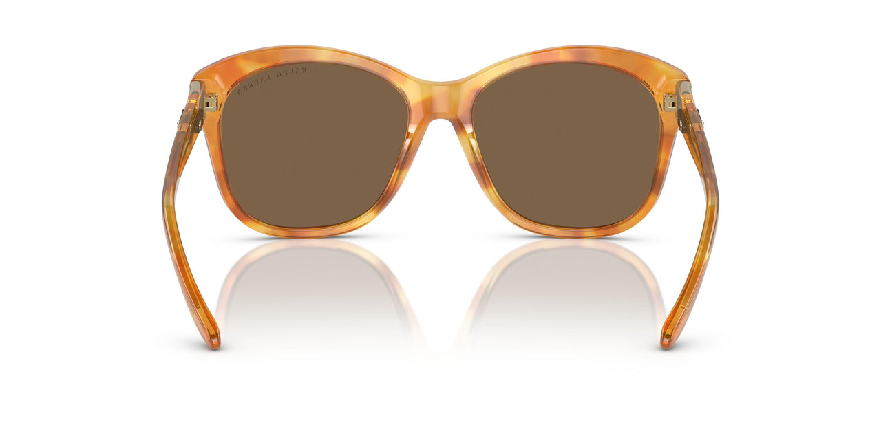 605173 - Tortoise - Brown