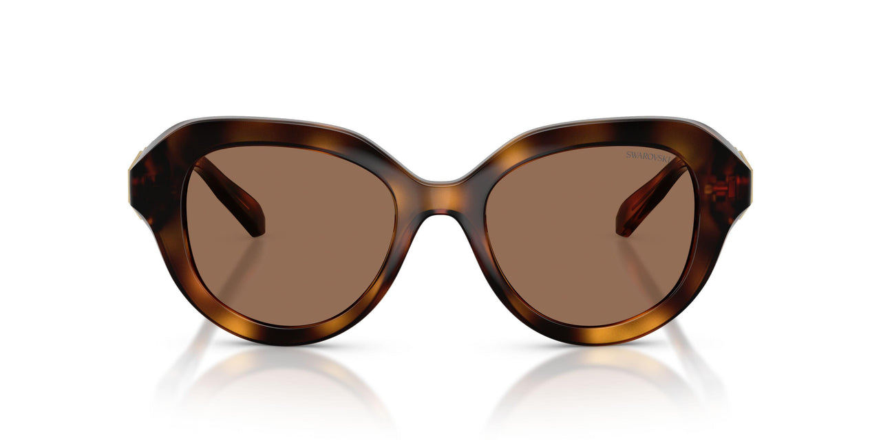 100273 - Tortoise - Dark Brown