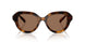 100273 - Tortoise - Dark Brown