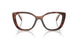 07R1O1 - Brown