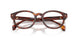 3034 - Tortoise