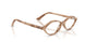 8491 - Tortoise - Clear