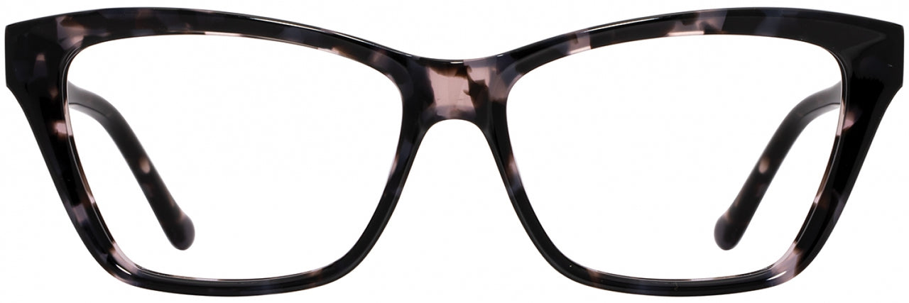 2 - Ebony Tortoise