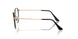 3173 - Black - Clear