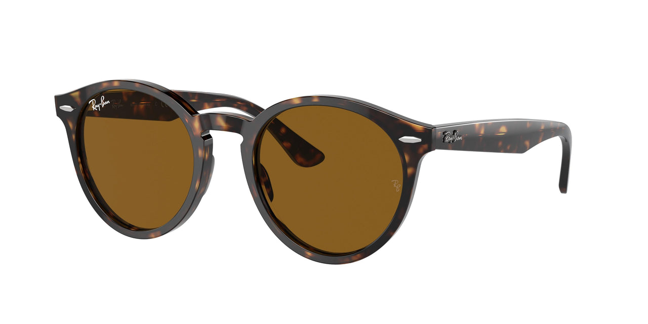 Ray-Ban Larry 7680S Sunglasses