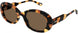 003 - Havana - Brown