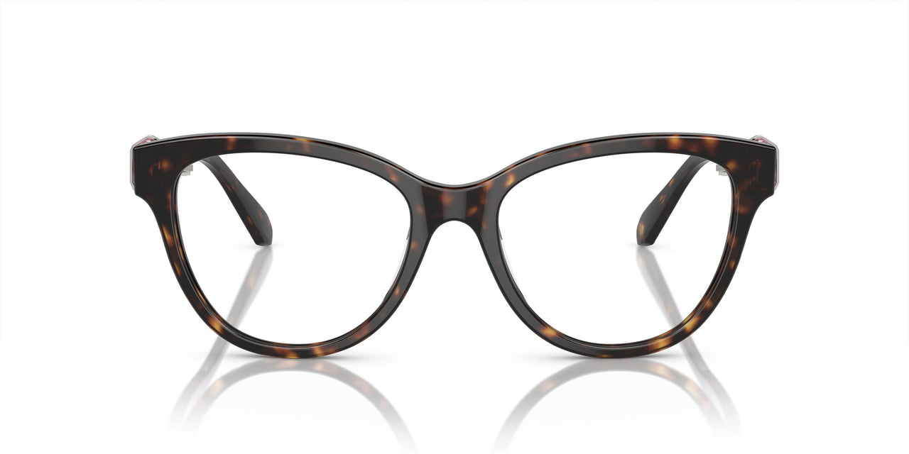 1002 - Brown
