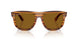 679183 - Brown - Polar Dark Brown