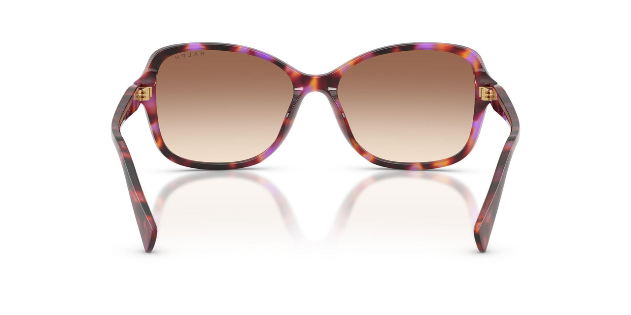 623913 - Violet - Gradient Brown