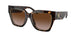 172813 - Havana - Brown Gradient