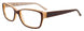 10 - Dark Brown & Pearl Cream