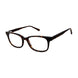 Aristar AR18441 Eyeglasses