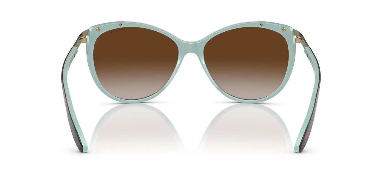 601/3B - Brown - Gradient Brown