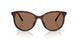 502/13 - Tortoise - Dark Brown