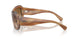 140351 - Tortoise - Clear & Brown