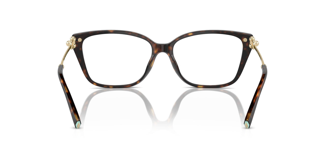 8404 - Tortoise