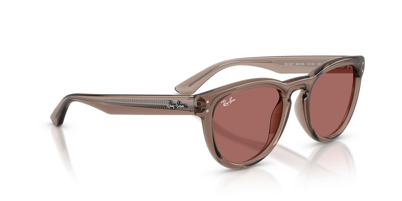 682769 - Brown - Dark Violet