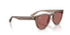 682769 - Brown - Dark Violet